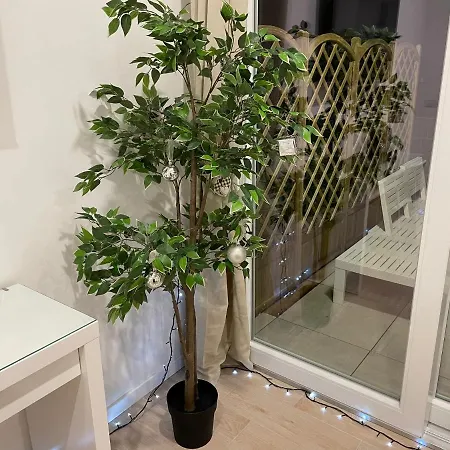 דירה Attico Al Vomero